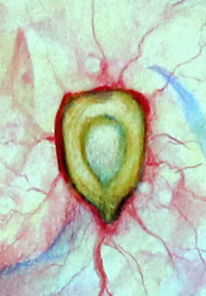 La Enseñanza, ayer y hoy Andrés Vilchis