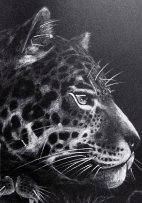 Nuestro Orgullo, Nuestras Raíces Andrés Vilchis