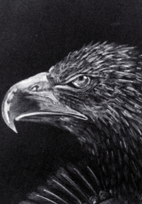 Nuestro Orgullo, Nuestras Raíces Andrés Vilchis